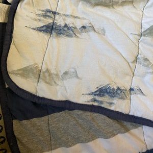 Organic Burts Bees Baby Blanket Mountains Stripes